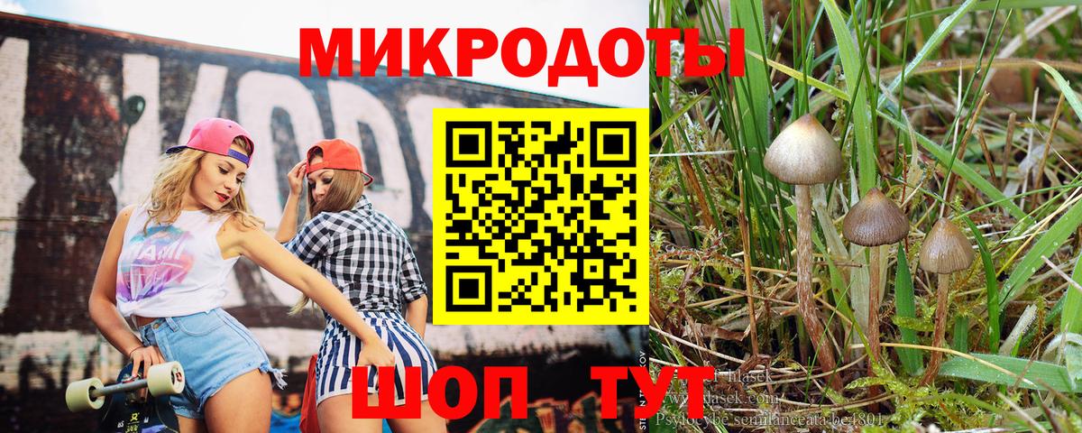 Галлюциногенные грибы GOLDEN TEACHER Кохма