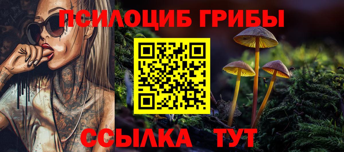 Кохма  Галлюциногенные грибы GOLDEN TEACHER  Вход с VPN 